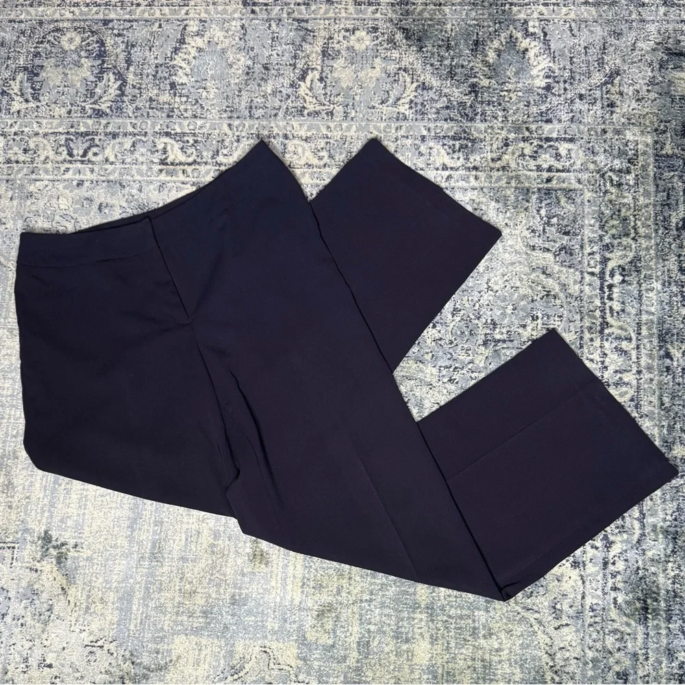 Ann Taylor Crop Pants 10